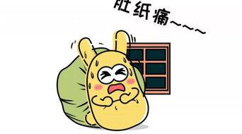 吃瓜群众7773,网络红人的崛起之路